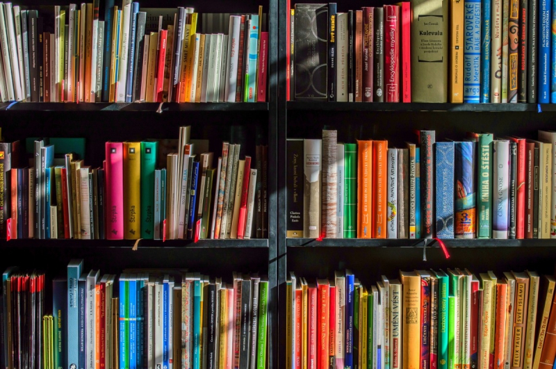 boutique-AUPS-min_books_bookstore_book_reading_shop_writer_sale_books_read-822866